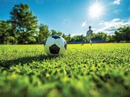 篮球比分即时比分球探多平台下载展示